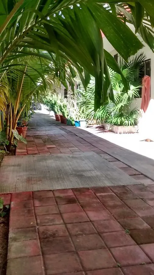 Posada Olmeca Playa del Carmen Privat bolig