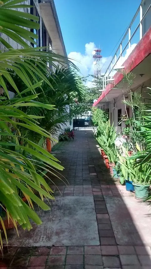 Privat bolig Posada Olmeca Playa del Carmen