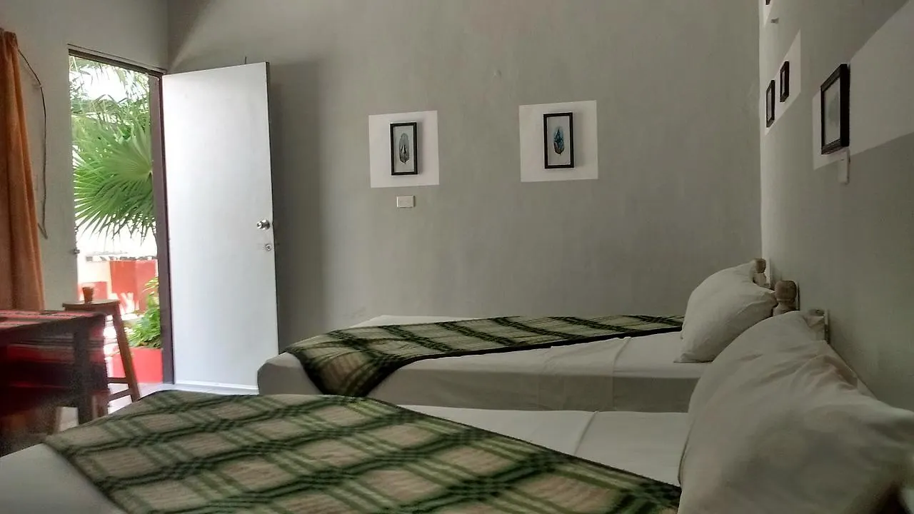 Posada Olmeca Playa del Carmen Privat bolig