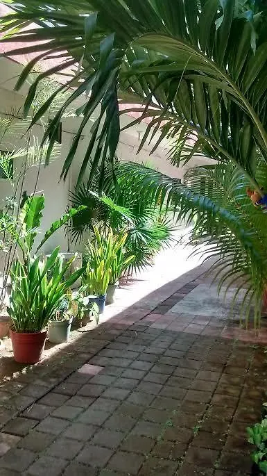 Posada Olmeca Playa del Carmen 0*,